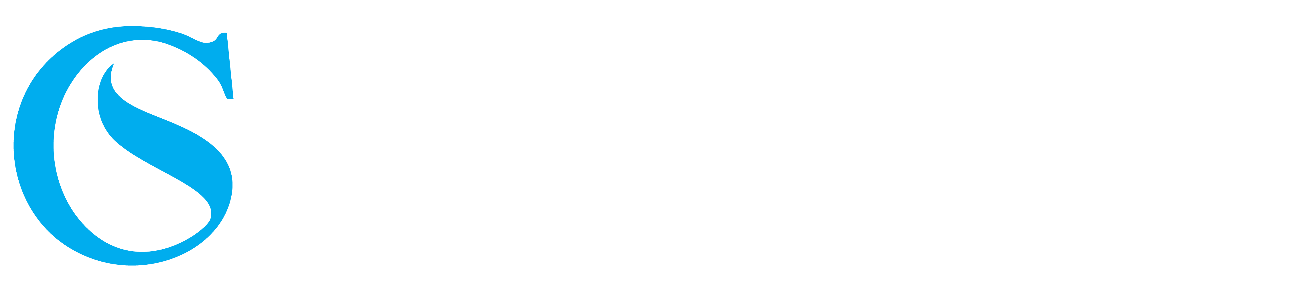 Circle Solve Logo